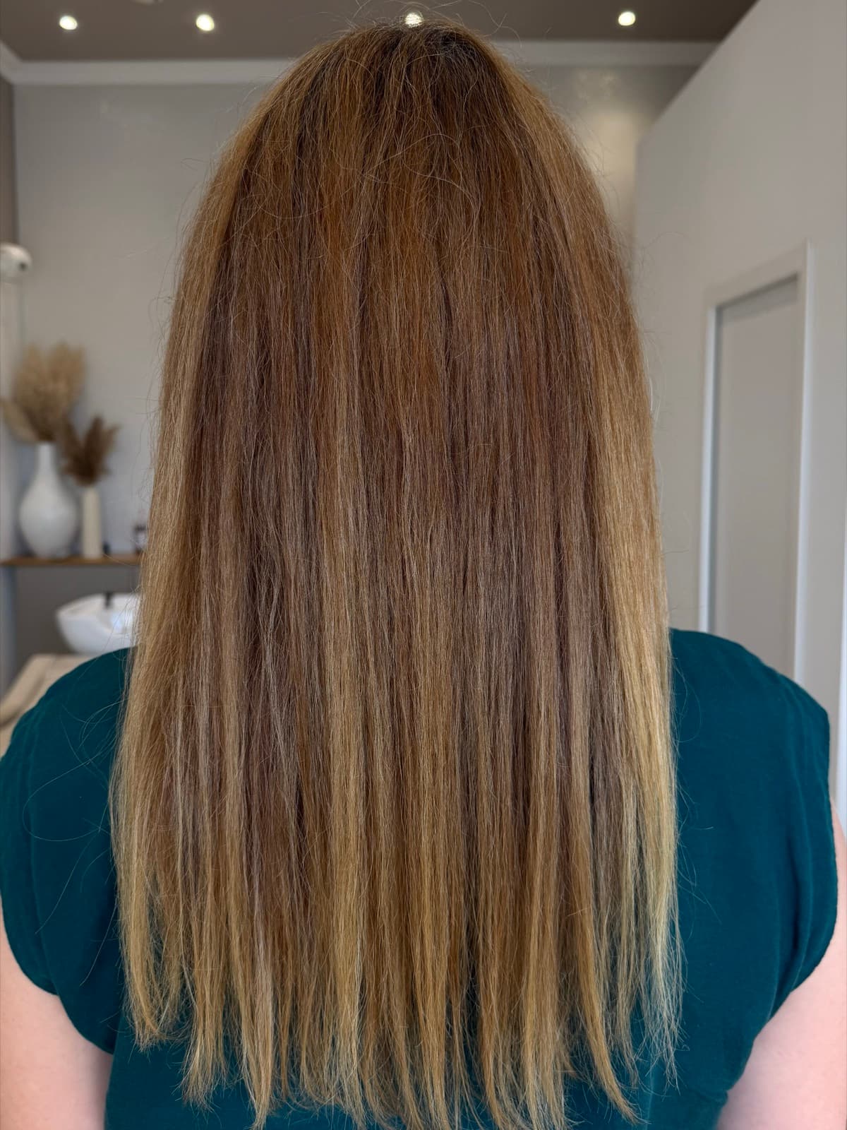 Chevelure longue avant le balayage, longueurs ternes et racines marquées